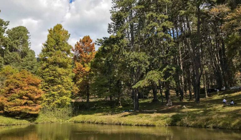 Horto Florestal de Campos do Jordão