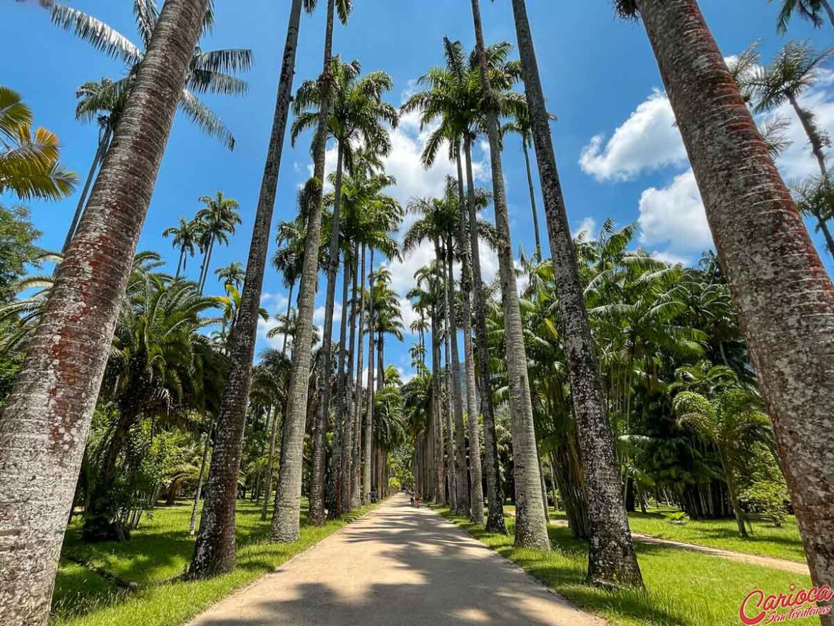 O Que Fazer No Jardim Botânico Rj 1605