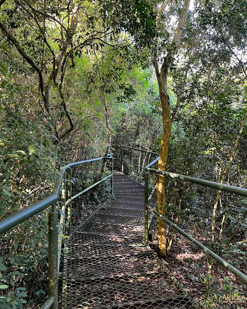 Trilha no Parque Nacional do Iguaçu